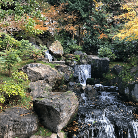 Take a stroll through Holland Park, twenty-five minutes away on foot