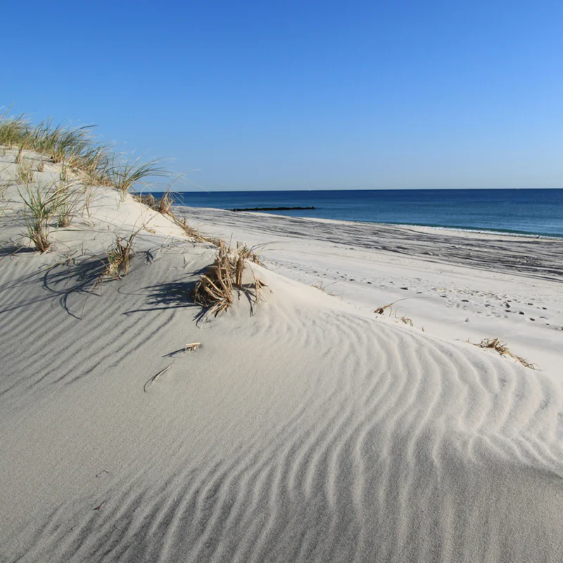 Discover the area's best beaches on your doorstep