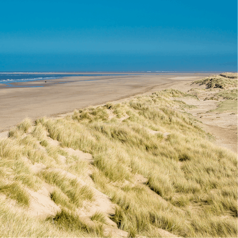 Go for a forty-minute drive to Blakeney Point Beach