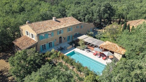 Sainte Baume in Bloom