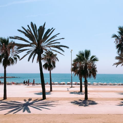 Make a beeline for Barceloneta Beach on sunny days