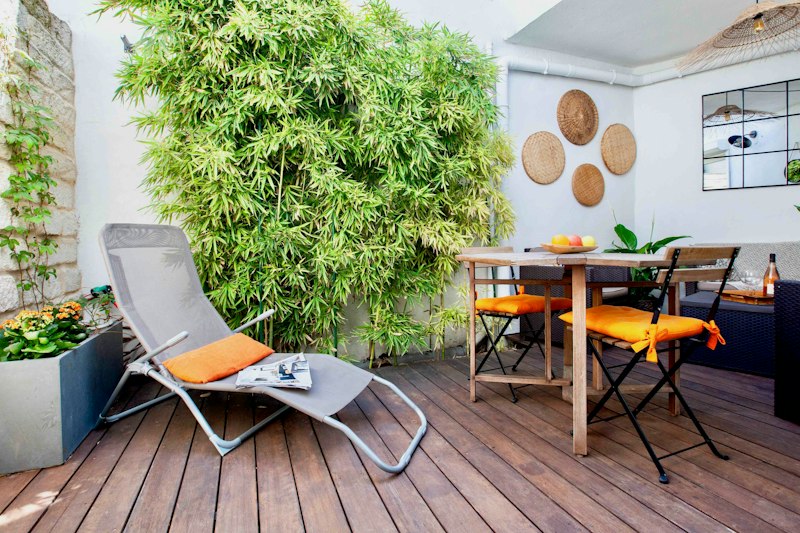 Tangerines on the Terrace main image