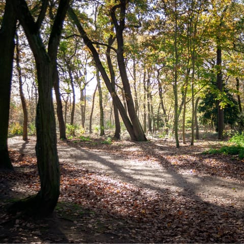 Enjoy a rejuvenating stroll around the Bois de Boulogne