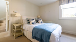 Laridae image 12