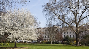 Regent's Park South image 7