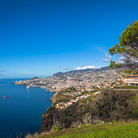Uncover the magic of Madeira from its captivating natural beauty, to the liveliness of Funchal's backstreets