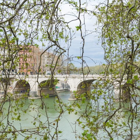 Willows framing the Tiber