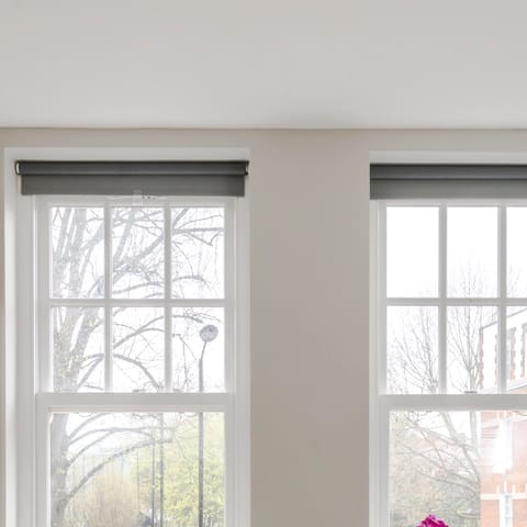 Large double aspect windows