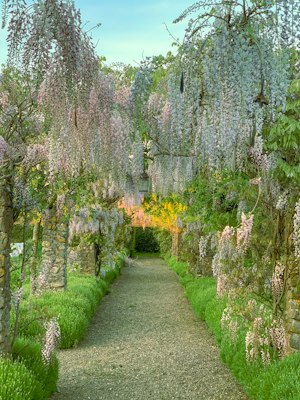 Somerset Manor image 14