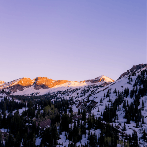 Explore the stunning mountains of the Alta ski area – less than 30 miles from Salt Lake City