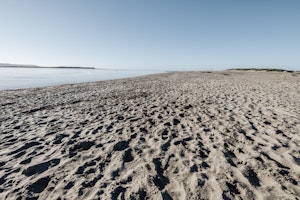 The Bells of Aberdyfi image 10