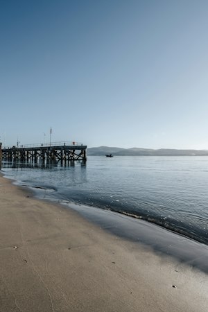 The Bells of Aberdyfi image 7