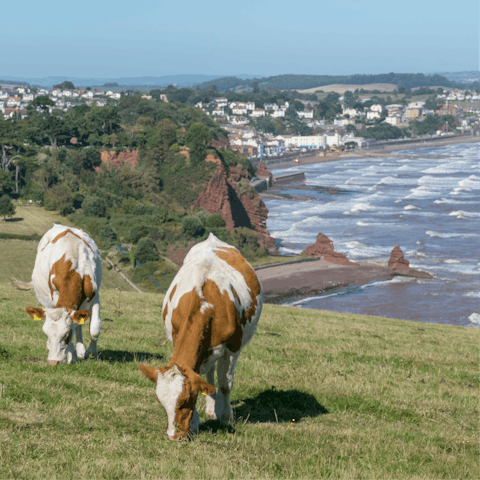 Pack your boots and embark upon long walks along the South West Coast Path