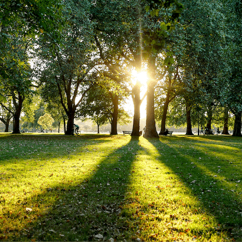 Soak up the sunshine at Hyde Park, a ten-minute walk away