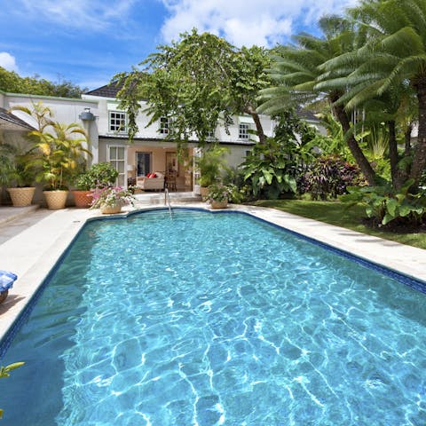 Swim laps in the Roman-style swimming pool in the backyard