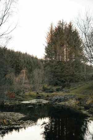 Fireside Whisky image 5