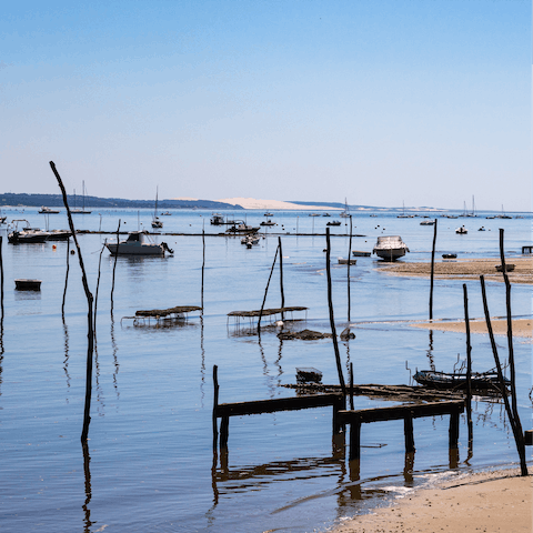 Drive to nearby Arcachon and watch the oyster harvest