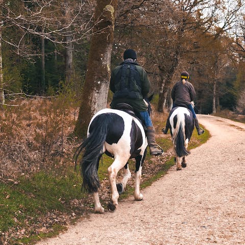 Saddle up and trek through the Suffolk countryside on horseback, you're a four-minute walk from the closest stables 