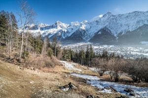 Alpine Frost image 7