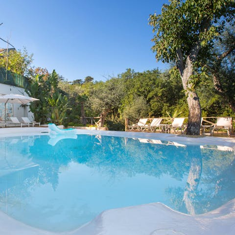 Swim laps in the private swimming pool 