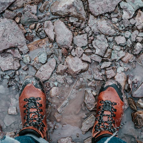 Walk three kilometres over the old railway track to the Llanerchaeron mansion