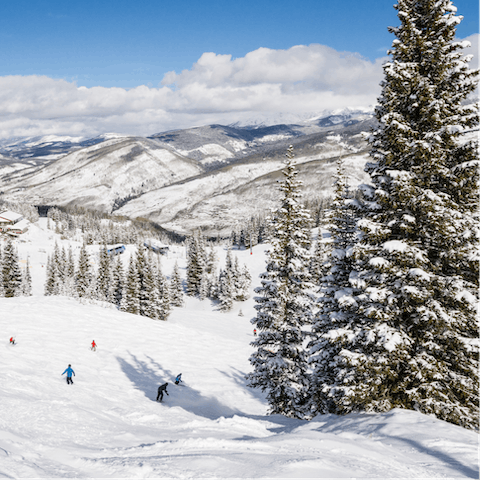 Stay in Park City and enjoy the red, black and blue runs that snake through the mountains