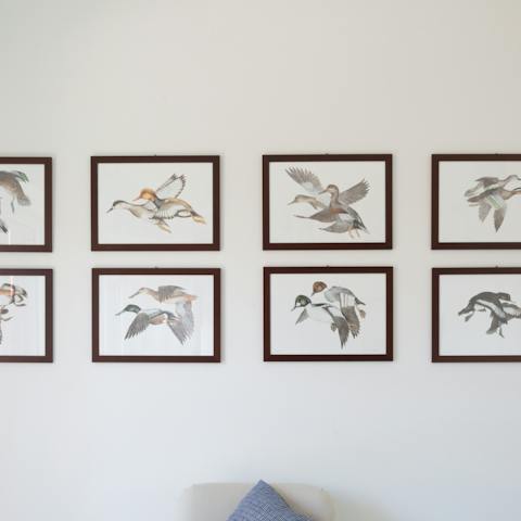 Multiple prints of ducks