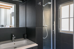 The Grey Stripes image 9