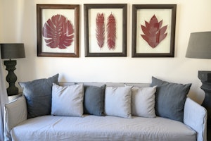 The Grey Stripes image 6