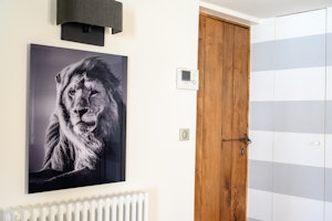 The Grey Stripes image 5