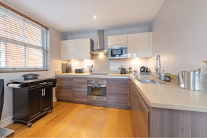 Putney Star image 12
