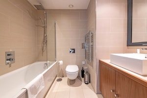 Putney Star image 11