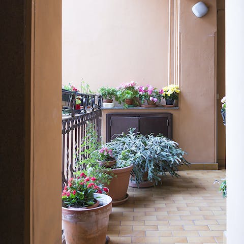 The plants on the balcony