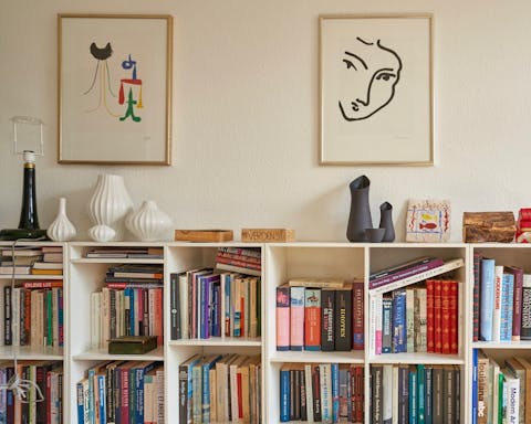 Wall-to-wall bookshelf for booklovers 