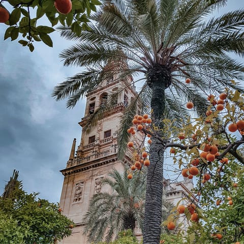 Make a beeline for Cordoba's historic centre, 2 kilometres away