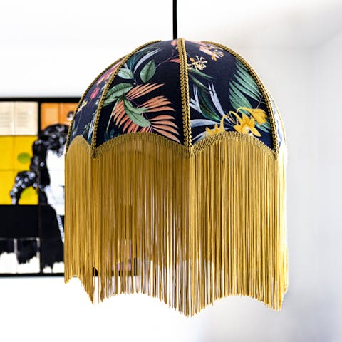 This colourful fringed light 