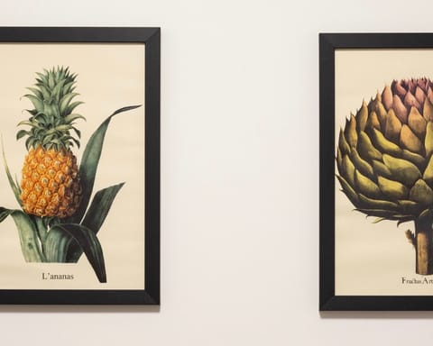 These artsy and charismatic posters