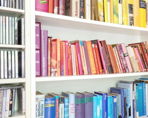 The colour-coordinated bookcase