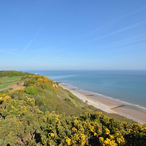 Explore the nature-rich Norfolk coast