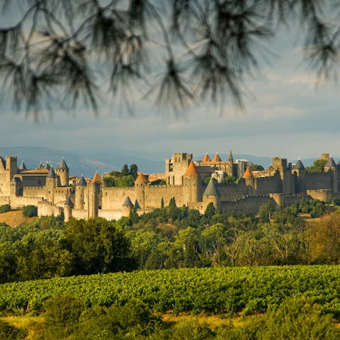 Explore the medieval city of Carcassonne