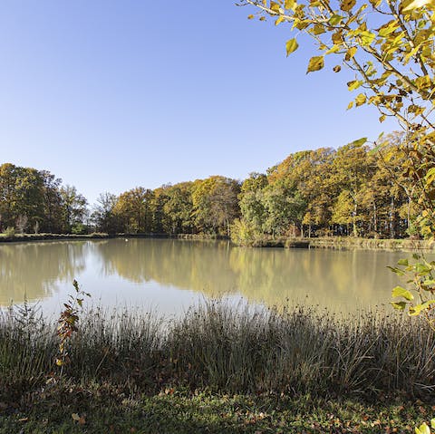 Explore the surrounding woodlands and ponds