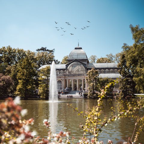 Catch the Metro down to Madrid's lush and beautiful El Retiro Park