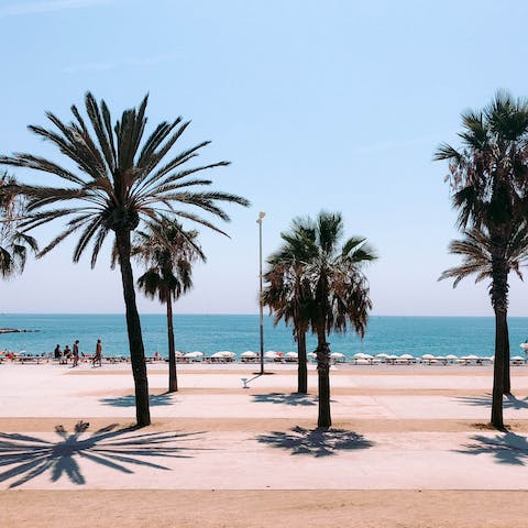Catch the number 59 bus and take the thirty-minute trip to Barceloneta Beach