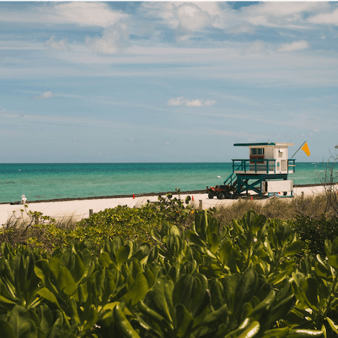 Catch a cab to South Beach and go paddling in the ocean