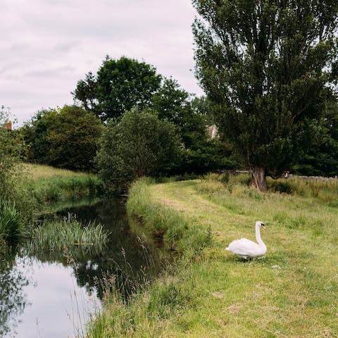 Walk along the River Coln and discover the area's outstanding natural beauty 