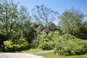 Penhallow's Point image 12