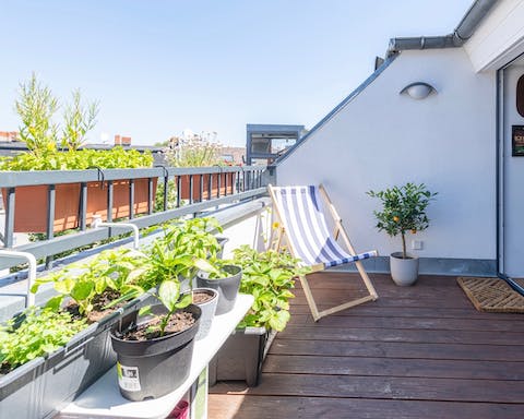 The bright penthouse terrace
