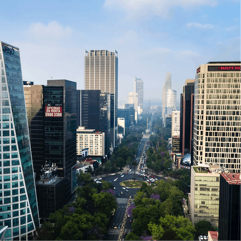 Find the best foodie hotspots in Mexico City