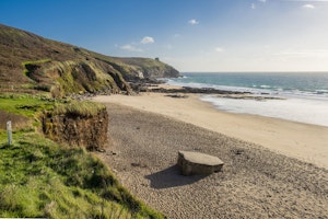 Cornish Nightingale image 12