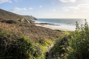 Cornish Nightingale image 4